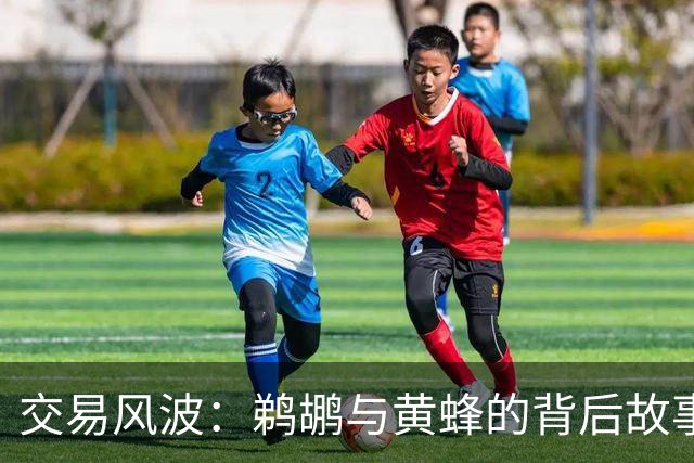 交易风波：鹈鹕与黄蜂的背后故事与合同调整